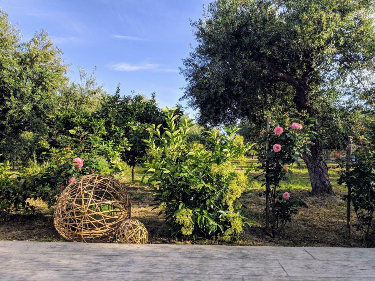 Ferienwohnung Casa Di Porto Roma Vasilikí Exterior foto
